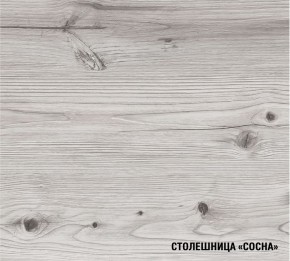 АСАЯ Кухонный гарнитур Экстра 2 (3000 мм) ПМ в Чайковском - chaykovskiy.ok-mebel.com | фото 8