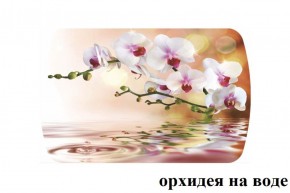 БОСТОН - 3 Стол раздвижной Орхидея на воде 1100/1420 опоры Триумф в Чайковском - chaykovskiy.ok-mebel.com | фото 2