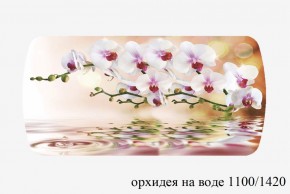 БОСТОН - 3 Стол раздвижной Орхидея на воде 1100/1420 опоры Триумф в Чайковском - chaykovskiy.ok-mebel.com | фото 3