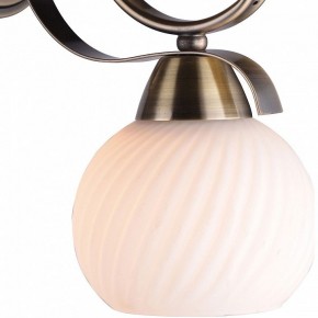 Бра TopLight Olivia TL3750B-01AB в Чайковском - chaykovskiy.ok-mebel.com | фото 2