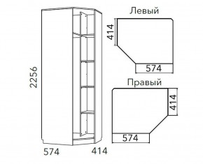 Детская Фанк Шкаф угловой Левый/Правый НМ 013.04-02 М в Чайковском - chaykovskiy.ok-mebel.com | фото 3