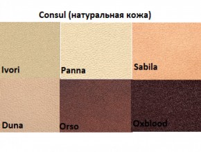 Диван двухместный Алекто Consul натуральная кожа в Чайковском - chaykovskiy.ok-mebel.com | фото 5