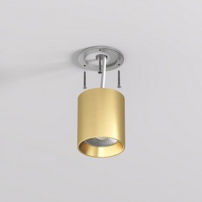 DK2610-SB Накладной светильник SHINE TUBE со светодиодом, D70*H80, IP20, 3000К, 10W, RA?90, сатинированная латунь, алюминий в Чайковском - chaykovskiy.ok-mebel.com | фото 3