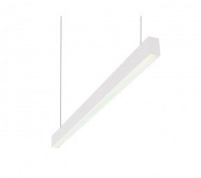 DK9124-WH Линейный светильник 30W 1250mm 4000K, белый в Чайковском - chaykovskiy.ok-mebel.com | фото