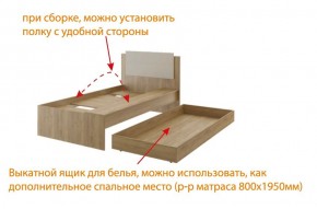 Дуглас (подростковая) М14 Кровать в Чайковском - chaykovskiy.ok-mebel.com | фото 5