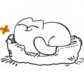 Кровать двухуровневая Кот № 900.1 ЛЕВАЯ (туя светлая/белый) в Чайковском - chaykovskiy.ok-mebel.com | фото 2