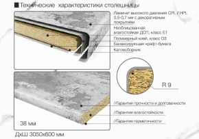 Кухонный фартук со столешницей (А-04) в едином стиле (3050 мм) в Чайковском - chaykovskiy.ok-mebel.com | фото 6