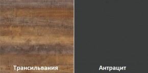 Кухонный гарнитур угловой Трансильвания 2600х1600 мм (Стол. 38 мм) в Чайковском - chaykovskiy.ok-mebel.com | фото 3