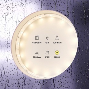 Лента светодиодная Maytoni Led strip 10105 в Чайковском - chaykovskiy.ok-mebel.com | фото 2