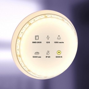 Лента светодиодная Maytoni Led strip 10114 в Чайковском - chaykovskiy.ok-mebel.com | фото 2