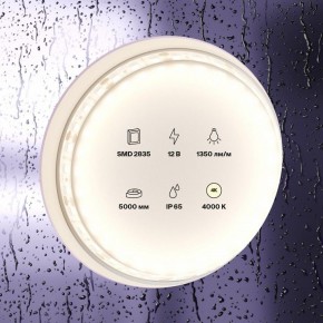 Лента светодиодная Maytoni Led strip 10118 в Чайковском - chaykovskiy.ok-mebel.com | фото 2