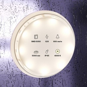Лента светодиодная Maytoni Led strip 10124 в Чайковском - chaykovskiy.ok-mebel.com | фото 3