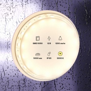Лента светодиодная Maytoni Led strip 10131 в Чайковском - chaykovskiy.ok-mebel.com | фото 2