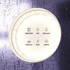 Лента светодиодная Maytoni Led strip 10132 в Чайковском - chaykovskiy.ok-mebel.com | фото 2