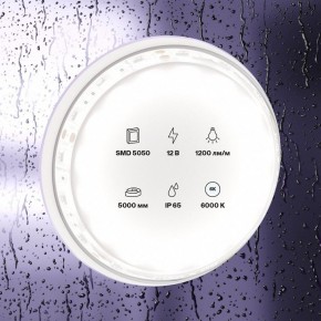 Лента светодиодная Maytoni Led strip 10133 в Чайковском - chaykovskiy.ok-mebel.com | фото 2