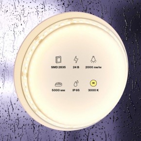 Лента светодиодная Maytoni Led strip 10157 в Чайковском - chaykovskiy.ok-mebel.com | фото 2