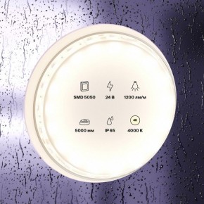 Лента светодиодная Maytoni Led strip 10172 в Чайковском - chaykovskiy.ok-mebel.com | фото 2