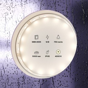 Лента светодиодная Maytoni Led strip 20005 в Чайковском - chaykovskiy.ok-mebel.com | фото 2
