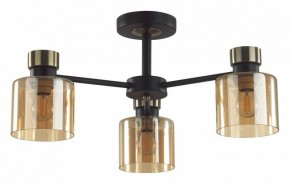Люстра на штанге Lumion ARLIN 5643/3C в Чайковском - chaykovskiy.ok-mebel.com | фото