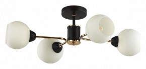 Люстра на штанге Lumion KODI 5646/4C в Чайковском - chaykovskiy.ok-mebel.com | фото