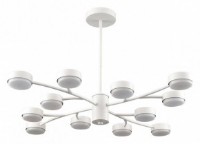 Люстра на штанге Lumion TORINA 8265/12 в Чайковском - chaykovskiy.ok-mebel.com | фото