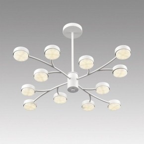 Люстра на штанге Lumion TORINA 8265/12 в Чайковском - chaykovskiy.ok-mebel.com | фото 5