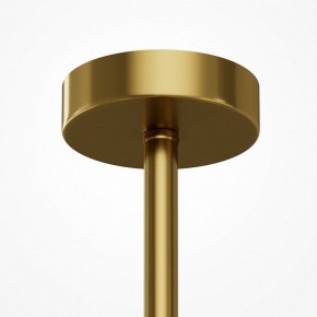 Люстра на штанге Maytoni Museo MOD436PL-07BS в Чайковском - chaykovskiy.ok-mebel.com | фото 5