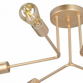 Люстра на штанге Vitaluce V3071 V3071-8/6PL в Чайковском - chaykovskiy.ok-mebel.com | фото 6