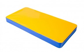 Мат гимнастический 1х0,5х0,08м цв. синий-желтый в Чайковском - chaykovskiy.ok-mebel.com | фото