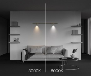 Модульный светильник Maytoni Focus LED C102CL-3W3-6K-BS в Чайковском - chaykovskiy.ok-mebel.com | фото 4