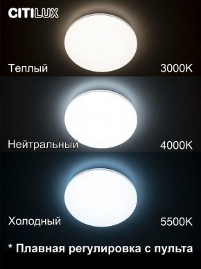Накладной светильник Citilux Симпла CL714330G в Чайковском - chaykovskiy.ok-mebel.com | фото 4