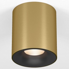 Накладной светильник Elektrostandard Primo 25116/LED в Чайковском - chaykovskiy.ok-mebel.com | фото