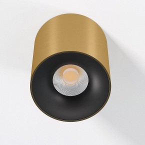 Накладной светильник Elektrostandard Primo 25116/LED в Чайковском - chaykovskiy.ok-mebel.com | фото