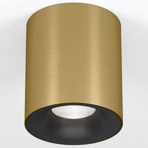 Накладной светильник Elektrostandard Primo 25116/LED в Чайковском - chaykovskiy.ok-mebel.com | фото 2