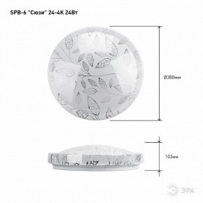 Накладной светильник Эра Классик SPB-6-24-4K (C) в Чайковском - chaykovskiy.ok-mebel.com | фото 6
