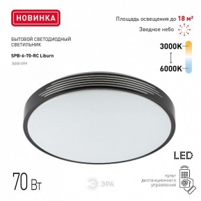 Накладной светильник Эра Классик SPB-6-70-RC Liburn в Чайковском - chaykovskiy.ok-mebel.com | фото 10