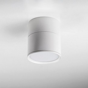Накладной светильник Lightstar Acuto 215886 в Чайковском - chaykovskiy.ok-mebel.com | фото 3
