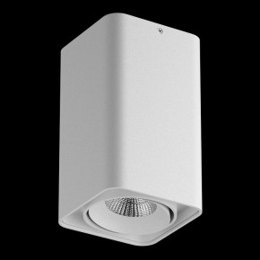Накладной светильник Lightstar Monocco 052136-IP65 в Чайковском - chaykovskiy.ok-mebel.com | фото 2