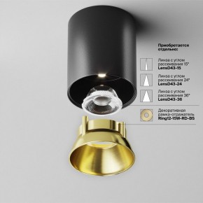 Накладной светильник Maytoni Alfa LED C064CL-12W4K-RD-B в Чайковском - chaykovskiy.ok-mebel.com | фото 3
