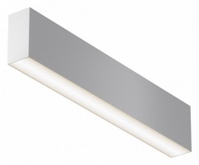 Накладной светильник Maytoni Basis C068CL-20W3-6K-W в Чайковском - chaykovskiy.ok-mebel.com | фото