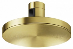 Накладной светильник Maytoni Plato TR152-1-7W4K-BS в Чайковском - chaykovskiy.ok-mebel.com | фото