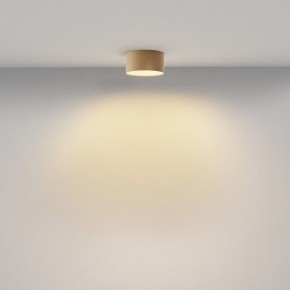 Накладной светильник Maytoni Zon C032CL-12W2.7K-RD-MG в Чайковском - chaykovskiy.ok-mebel.com | фото 4