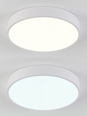 Накладной светильник Natali Kovaltseva  LED LAMPS 81111/5C в Чайковском - chaykovskiy.ok-mebel.com | фото 4