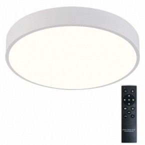 Накладной светильник Natali Kovaltseva  LED LAMPS 81112/5C в Чайковском - chaykovskiy.ok-mebel.com | фото 2