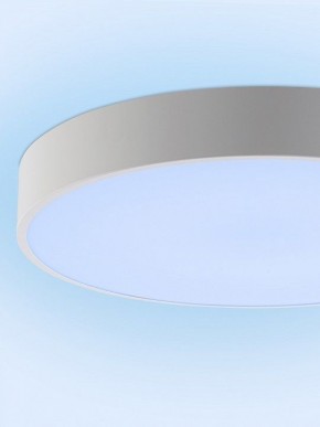 Накладной светильник Natali Kovaltseva MODERN LED LAMPS 81105/1C в Чайковском - chaykovskiy.ok-mebel.com | фото 11