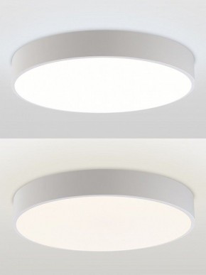 Накладной светильник Natali Kovaltseva MODERN LED LAMPS 81105/1C в Чайковском - chaykovskiy.ok-mebel.com | фото 5