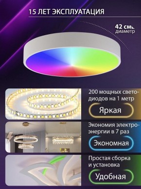 Накладной светильник Natali Kovaltseva MODERN LED LAMPS 81105/1C в Чайковском - chaykovskiy.ok-mebel.com | фото 6