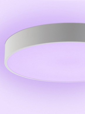 Накладной светильник Natali Kovaltseva MODERN LED LAMPS 81105/1C в Чайковском - chaykovskiy.ok-mebel.com | фото 9