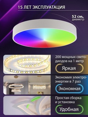 Накладной светильник Natali Kovaltseva MODERN LED LAMPS 81105/2C в Чайковском - chaykovskiy.ok-mebel.com | фото 6