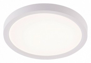 Накладной светильник Natali Kovaltseva PLAIN LED LAMPS 81113/1C в Чайковском - chaykovskiy.ok-mebel.com | фото